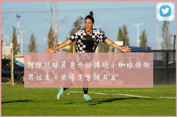 阿根廷球员身价榜揭晓小蜘蛛领衔恩佐麦卡劳塔罗紧随其后