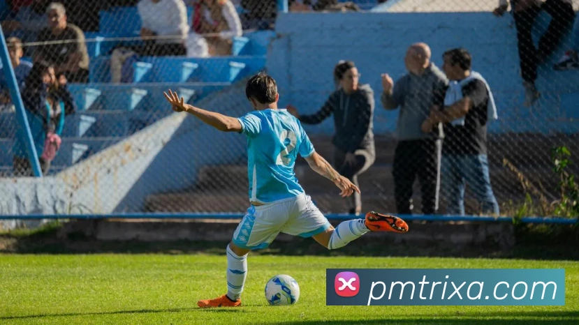 PM体育平台生态图