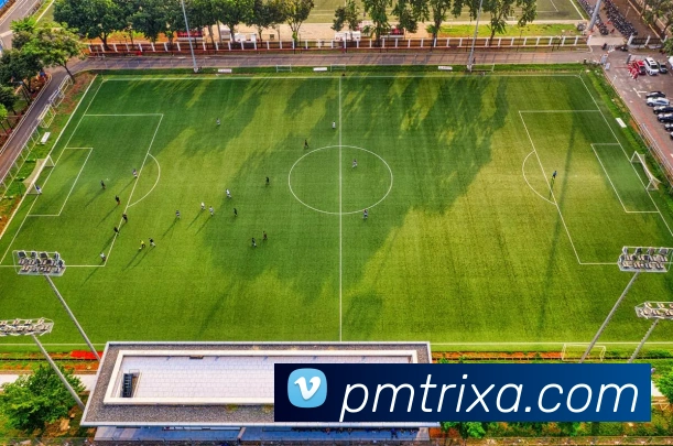 PM体育APP 封面图