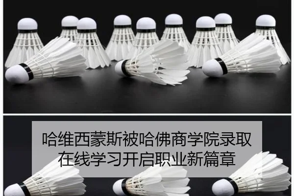 哈维西蒙斯被哈佛商学院录取 在线学习开启职业新篇章